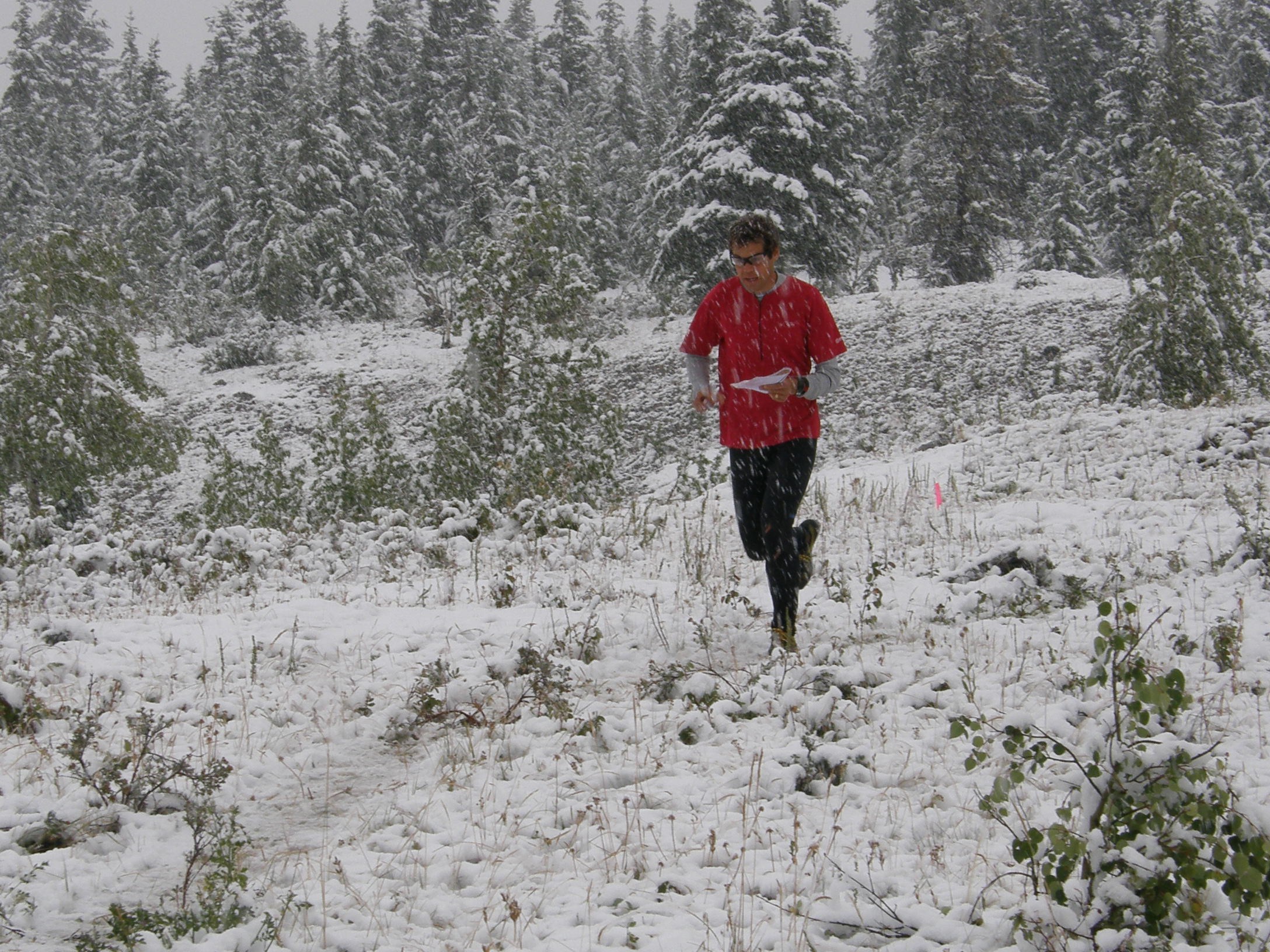 Alaric running in snow