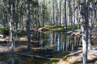lava flow pond